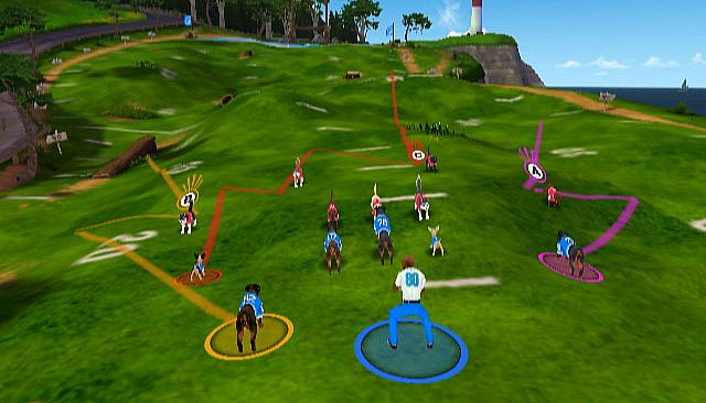 Jerry Rice & Nitus' Dog Football