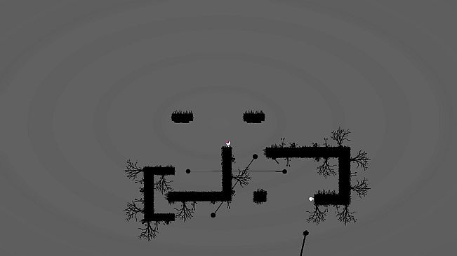 Him & Her Collection