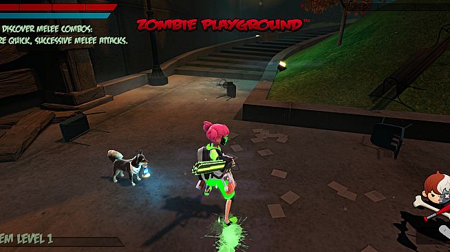 ZPG - Midnight with Lantern (Pet)