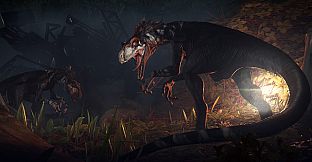 Robinson: The Journey