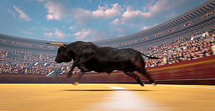 TORO 2 (BULL 2)