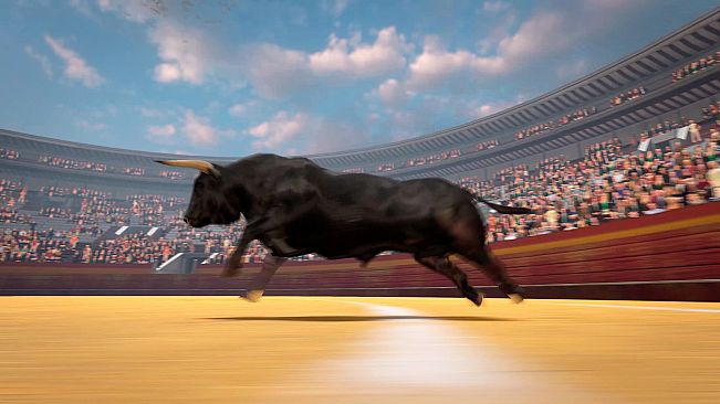 TORO 2 (BULL 2)