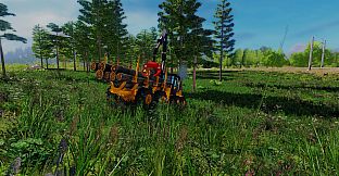 Professional Lumberjack 2015