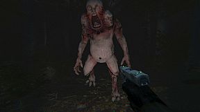 DEVIL'S WAY: BOHEMIAN