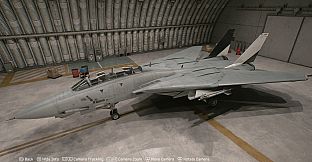 ACE COMBAT 8 - Playable Aircraft: F-14A