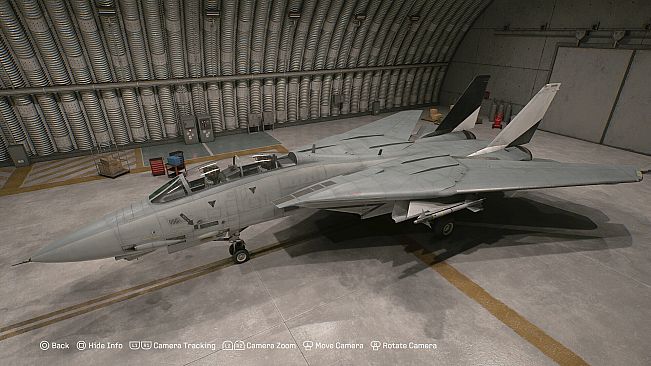 ACE COMBAT 8 - Playable Aircraft: F-14A