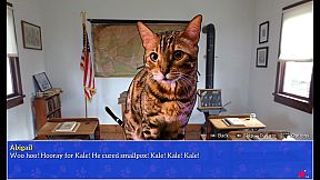 Cat President: A More Purrfect Union