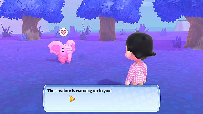 Galactic Getaway: Build a Home for Pets