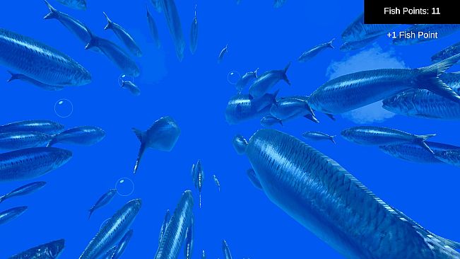 Fish Simulator
