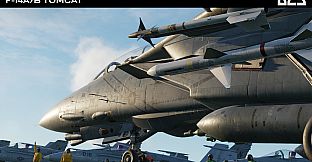 DCS: F-14A/B Tomcat by Heatblur Simulations
