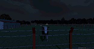 Cow Heard