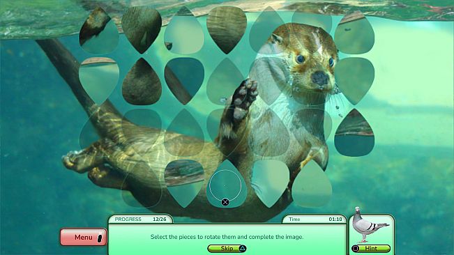 I Love Finding Critters Collector's Edition