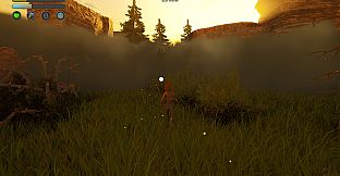 Quiet Grove: Lost in the Fog