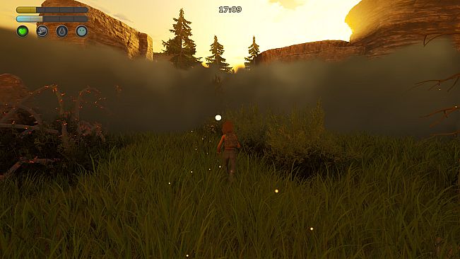 Quiet Grove: Lost in the Fog