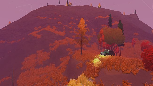 chasing the wildrness
