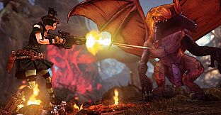 Borderlands 2: Tiny Tina's Assault on Dragon Keep