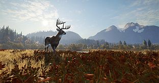 theHunter: Call of the Wild - Windows 10