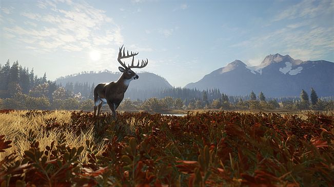 theHunter: Call of the Wild - Windows 10