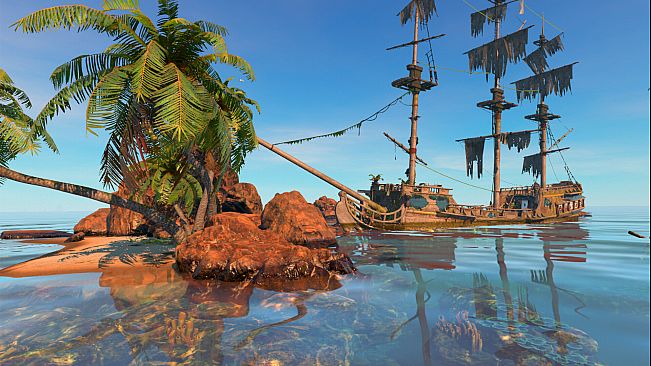 Beyond a Coral Sea - Part two