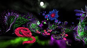 Colibri XR Immersive Art Gallery