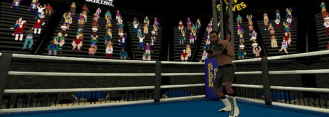 Golden Gloves VR
