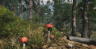 Mushroom Collector Simulator