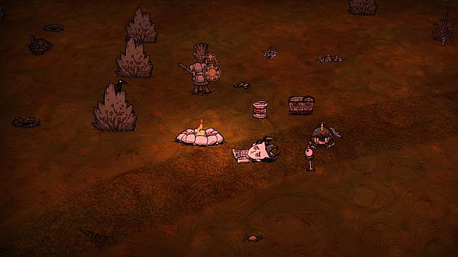 Don't Starve Together: Starter Pack 2024