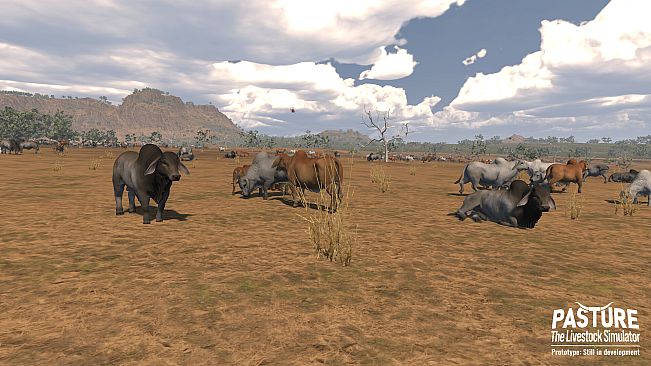 Pasture: The Livestock Simulator