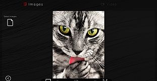 Online Adult Content Manager - Local Content Manager