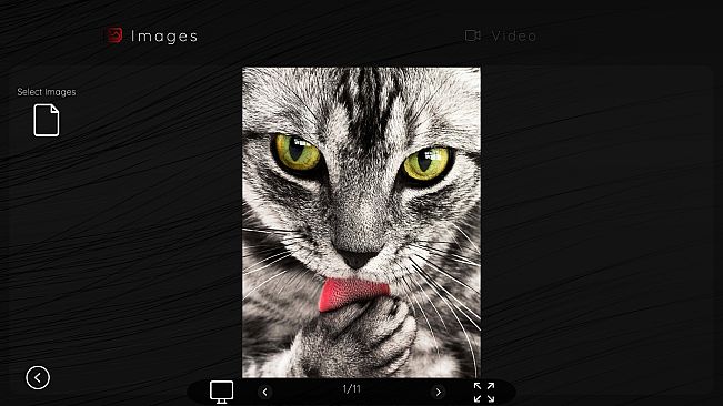 Online Adult Content Manager - Local Content Manager