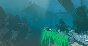 Enchanted Oceans Inc.