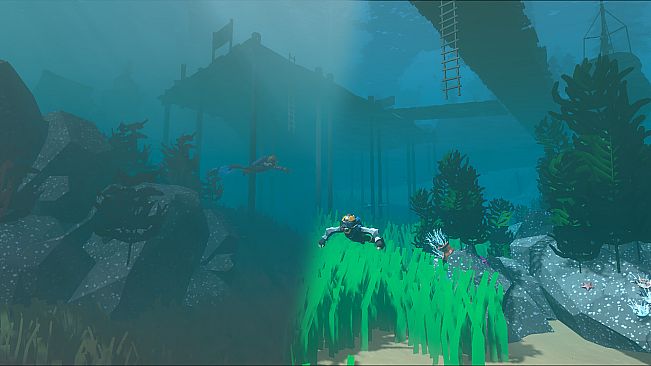 Enchanted Oceans Inc.