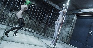 Widow in the Endless Labyrinth R-18