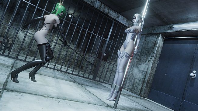 Widow in the Endless Labyrinth R-18