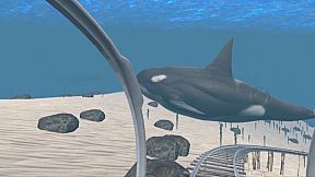 RollerCoaster VR Universe