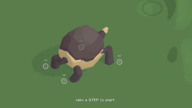 the art of Tortoise Walking