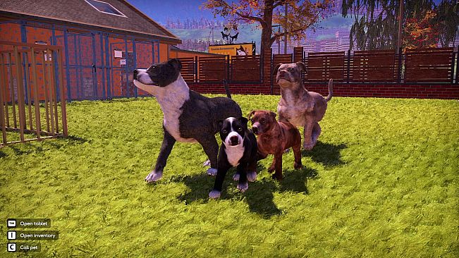 Animal Shelter 2 - Bull-Type Terriers Dogs Pack