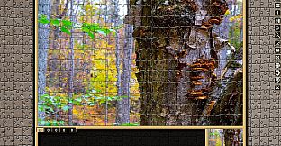 Pixel Puzzles Traditional Jigsaws Pack: Variety Pack 12