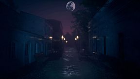 The Origin: Blind Maid