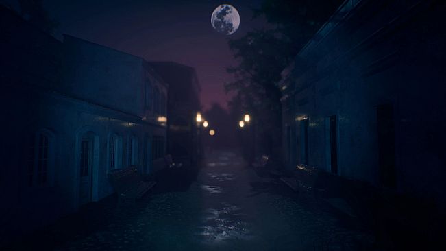 The Origin: Blind Maid