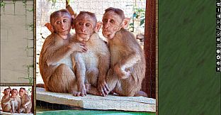 Jigsaw Puzzle Pack - Pixel Puzzles Ultimate: Primates