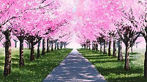 My Summer Adventure: Memories of Another Life