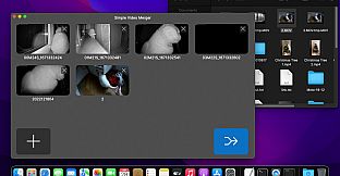 Simple Video Merger - Professional version upgrade