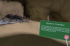 Zombie Ants VR: Definitive Edition