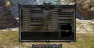 Divinity II: Developer's Cut