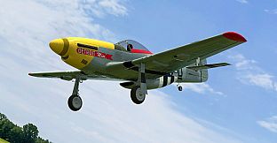 RealFlight Evolution - E-flite UMX P-51D Mustang “Detroit Miss”