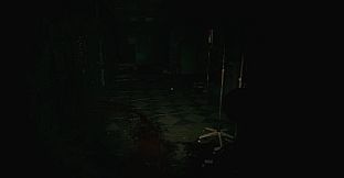 Palehollow Hospital | 灰谷医院