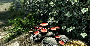 The Elder Scrolls V: Skyrim Special Edition (PC)