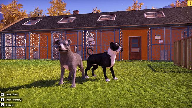 Animal Shelter 2 - Bull-Type Terriers Dogs Pack