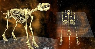 World of Guns VR: 5 Skeletons Pack